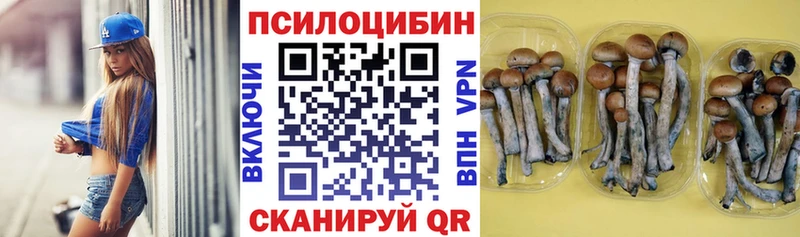 Псилоцибиновые грибы Psilocybe  Воскресенск 